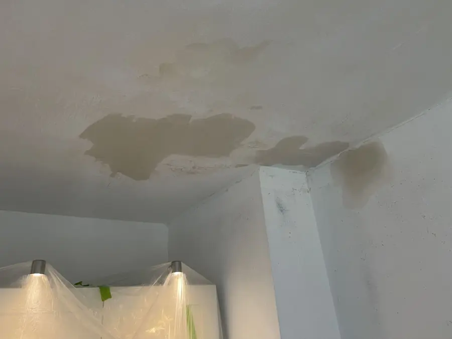 Water stains across a ceiling